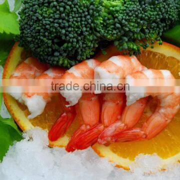 Frozen Shrimp Vannamei Price