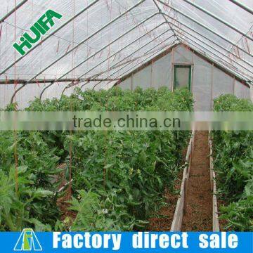 Used Hidroponica Greenhouse Frames Tunnels for Sale photo-3