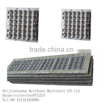 China egg trays carton mold