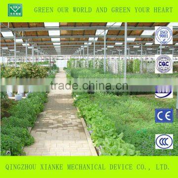 Small Commercial Film Warm Greenhouse photo-3