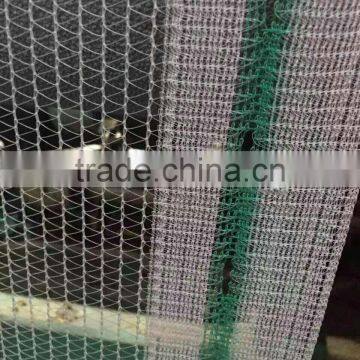 Apple Tree Anti Hail Net, Hail Protection Nets photo-3