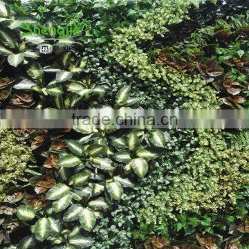 SJLJ013782 China Supplier Direct Selling Artificial Green Wall With Artificial Plant photo-4