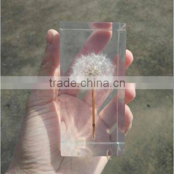 Custom Shape Artificial Dandelion Acrylic Paperweight photo-3