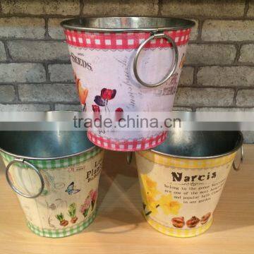 High quality oval metal buckets/ garden bucket