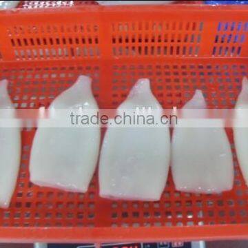 high quality clean chemical treated illex squid tube