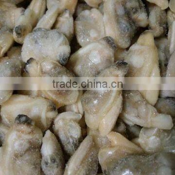 Dandong Taihua Cooked Baby Clam Without Shell for Export photo-2