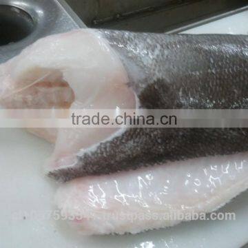 Patagonian Toothfish or Real Chilean Seabass photo-2