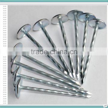 Nigeria market 7Ibs 8boxes package high quality umbrella roofing nails