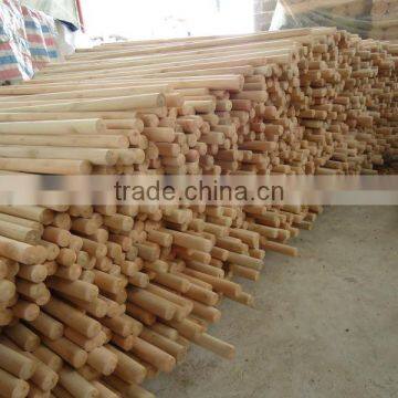 Hot Sale Natural Eucalyptus Wood Broom Handle