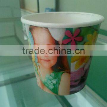 Custom Logo Printed Flower Paper Pot Cover