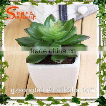 Mini ornamental artificial plants succulent plant for decoration wholesale