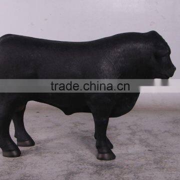 Definitive Angus Looking Left photo-2