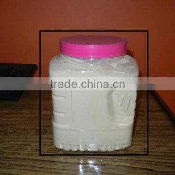 Garlic powder