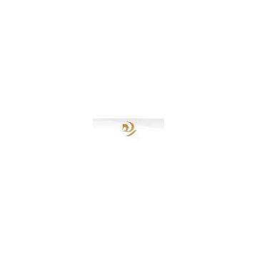 Shenzhen Deruilong Watch Bands Company Limited