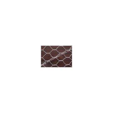 pvc hexagonal wire mesh