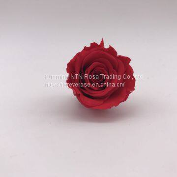 100% Real natural flower preserved rose  decorative flowers
