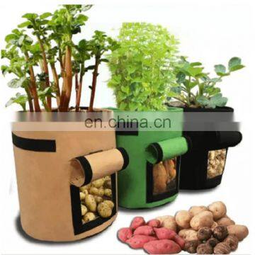 Wholesale 10 Gallon opening felt plant bucket green grow pot