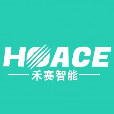 Shandong Hoace Intelligent Equipment Co.,Ltd.