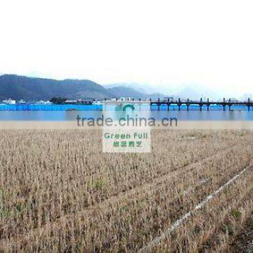 Strong HDPE Anti Wind Netting/anti Wind Net/windbreak Net photo-3