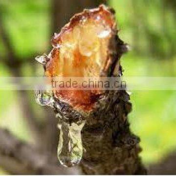 Pine Tree Resin Raw Material