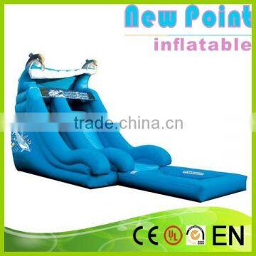 New Point inflatable water slides for summer,inflatable slide games for children,inflatable water slides for kids