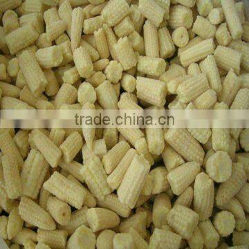 fresh canned baby corn cuts