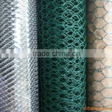 hexagonal wire mesh /chicken wire mesh (factory)