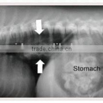 Xray film 14*17inch blue based China Manufacture