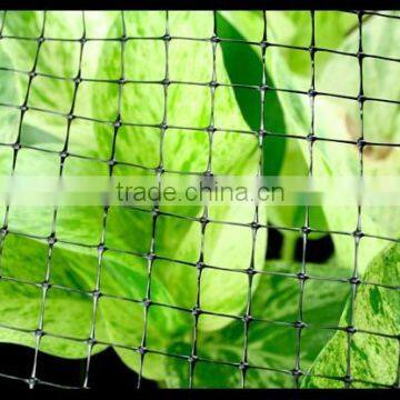 Plastic BOP Netting as Fruit Cage/Anti Bird Net/Plant Protection Net