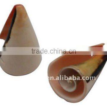 Sea Shell Beads, Dyed, Coral, about 34~35x20~24x18~22mm, hole: 2mm, about 75pcs/500g(BSHE-S075)