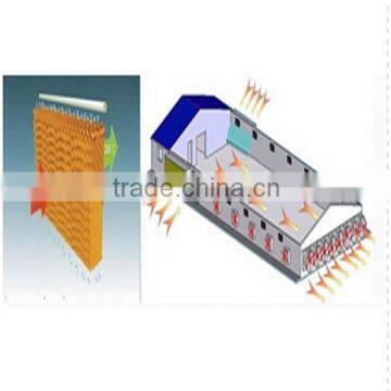 commercial broiler poultry shed