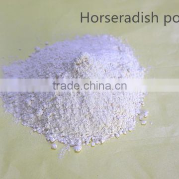 yuanyuan horseradish powder hot spice 2014 new crop