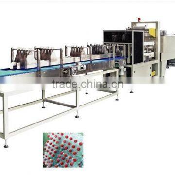 ROY-25B linear film shrinking packing machine