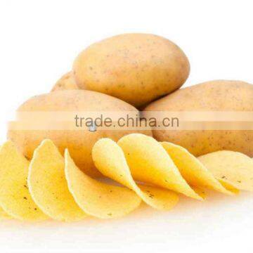 Potato Chips Machine&potato Chips Making Machine photo-4
