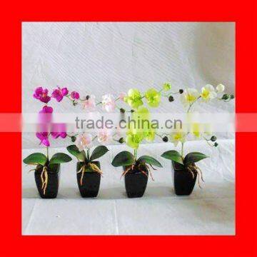 artificial potted orchid