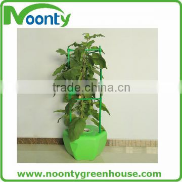 Tomato Hydroponics Growing Pot