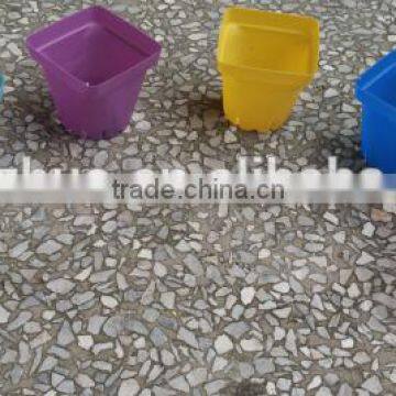 Small square plastic flower pot