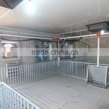 Pig Stainless Steel Double Sided, Three-head Feeder photo-6