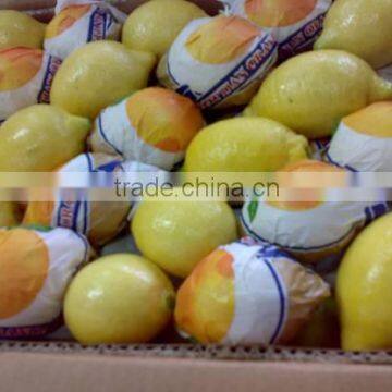 yellow lemon