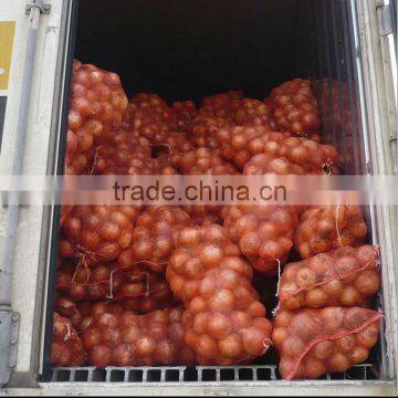 onion from shandong