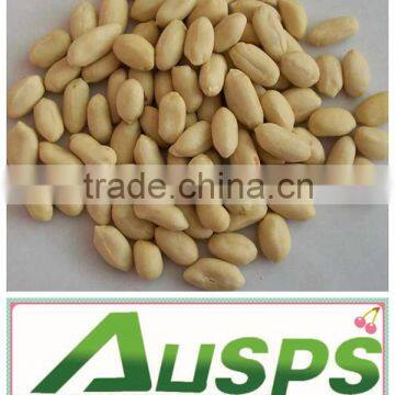 new crop Chinese blanched peanut kernels