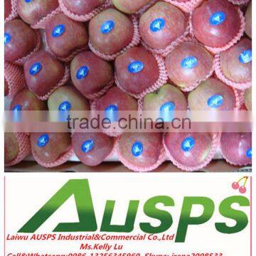 Chinese red star apple