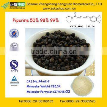 GMP Manufacturer Supply Natural Black Pepper Extract Powder