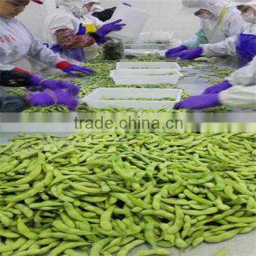 Frozen Edamame Beans, IQF Edamame Beans