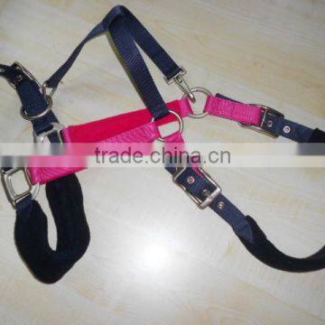 NL1303 horse leather halter with buckles