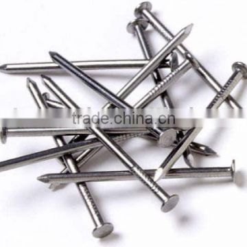 Common Wire Nail