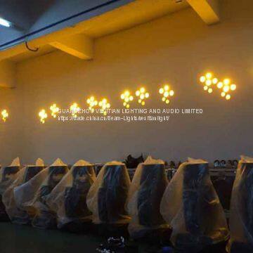 Super Pro Price Export 230W Christmas Light 14fixed Colors DMX Sharpy 7R Beam Moving Head Lights photo-5