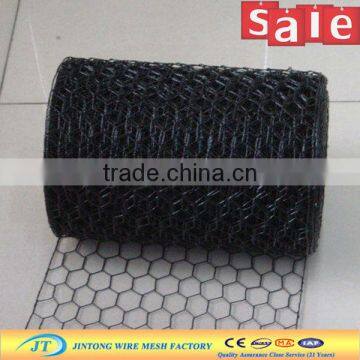 JT galvanized chicken wire / plastic coated chicken wire netting