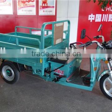 650W electro adult-tricycle for sale malaysia from china