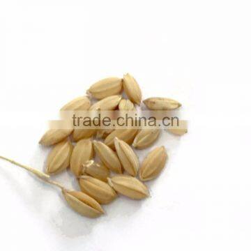 Factory Wheat Color Sorter/barley Wheat Color Sorting Machine/color Separator photo-2